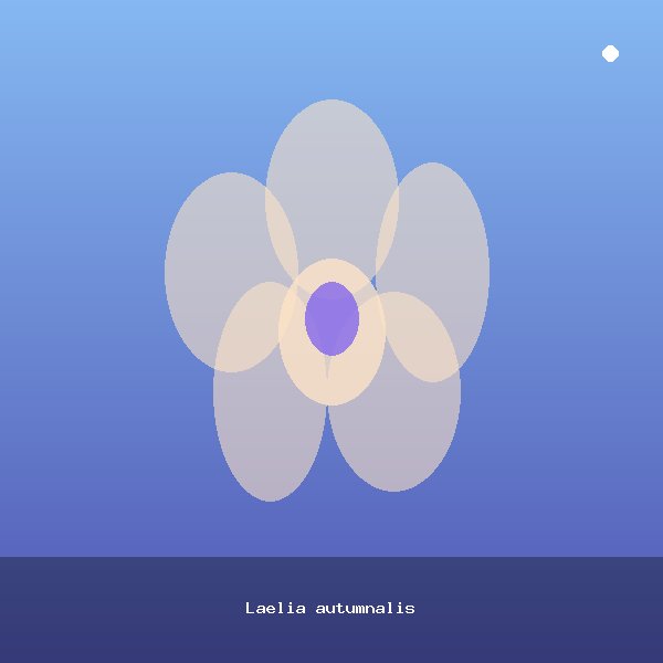Laelia autumnalis