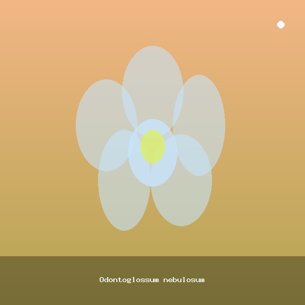 Odontoglossum nebulosum
