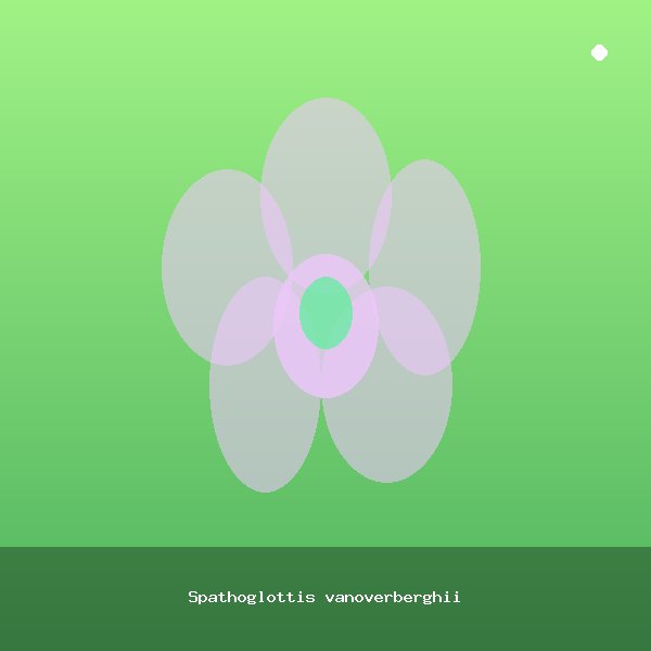 Spathoglottis vanoverberghii