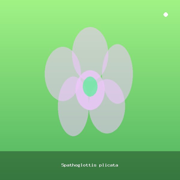 Spathoglottis plicata
