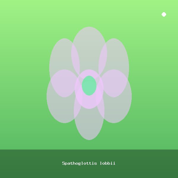 Spathoglottis lobbii