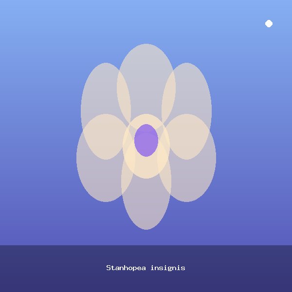 Stanhopea insignis