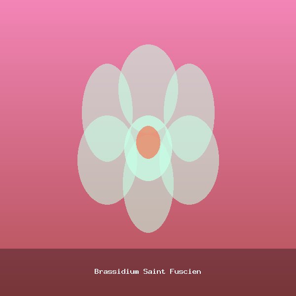 Brassidium Saint Fuscien