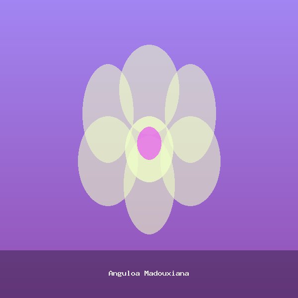 Anguloa Madouxiana