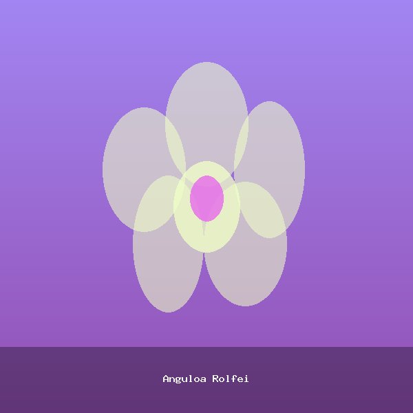 Anguloa Rolfei