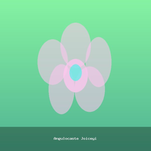 Angulocaste Joiceyi