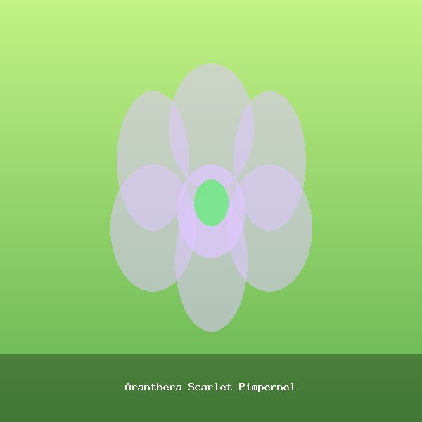 Aranthera Scarlet Pimpernel