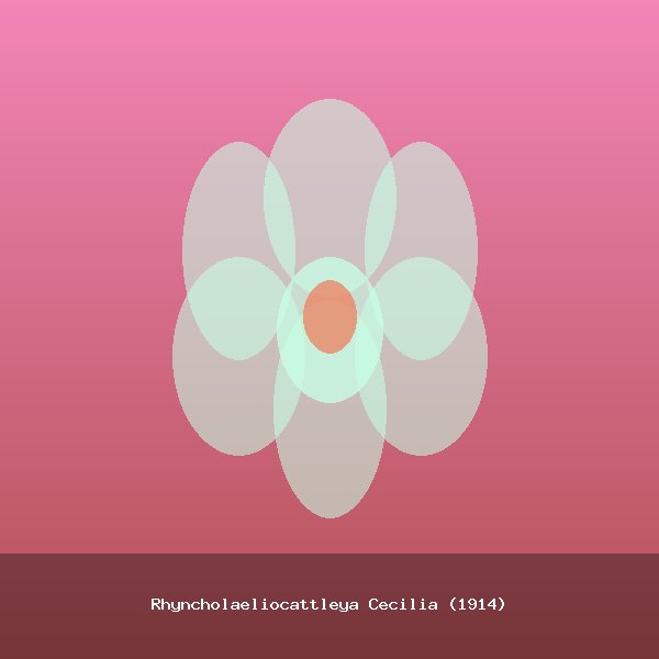 Rhyncholaeliocattleya Cecilia (1914)