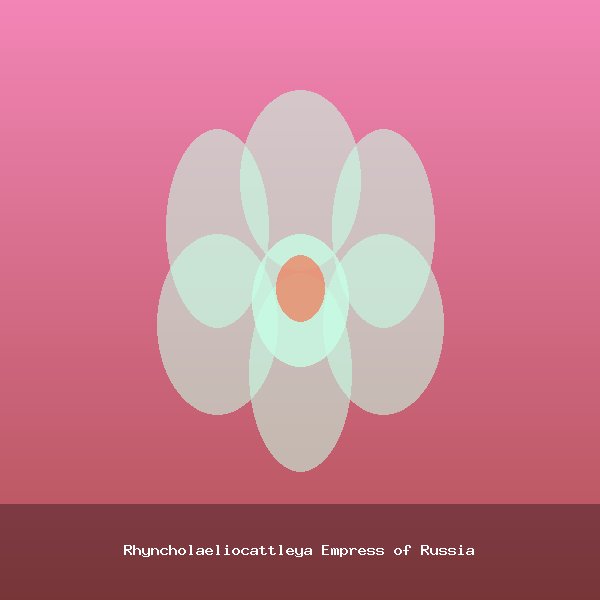 Rhyncholaeliocattleya Empress of Russia