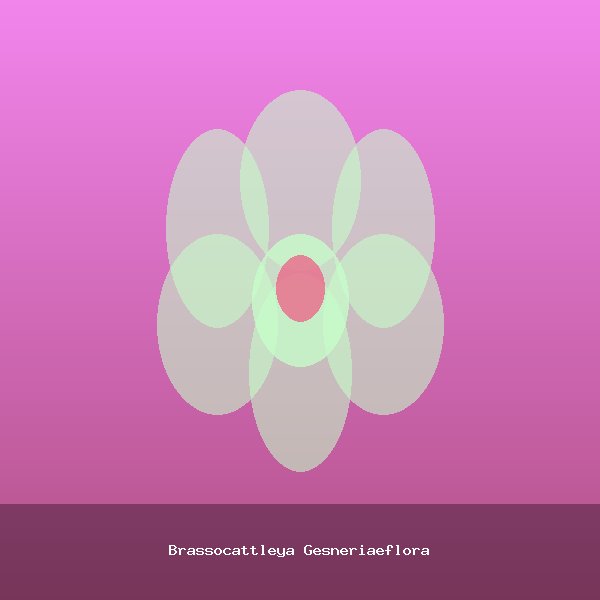 Brassocattleya Gesneriaeflora