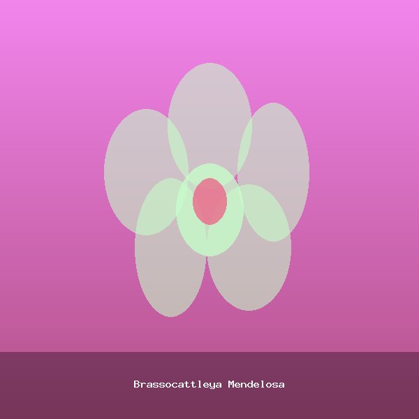 Brassocattleya Mendelosa