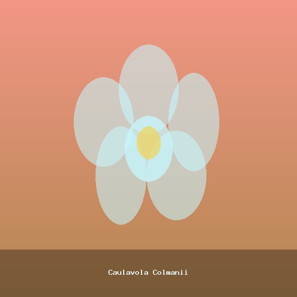 Caulavola Colmanii