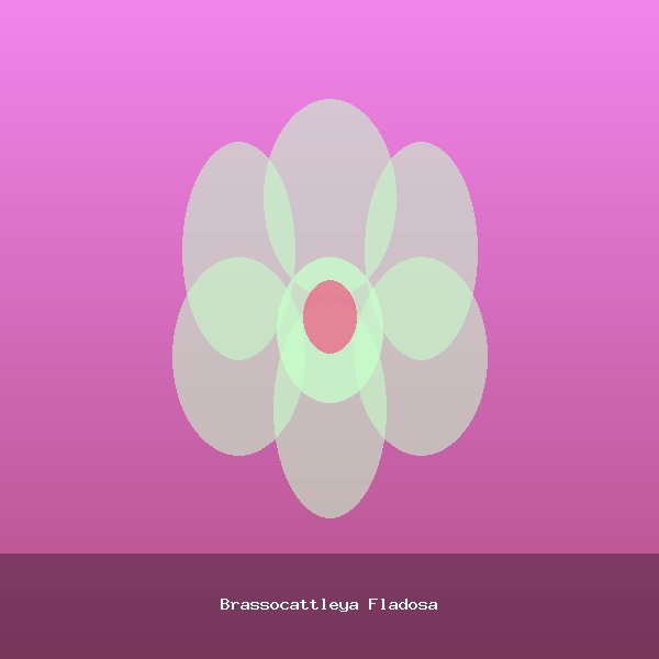 Brassocattleya Fladosa