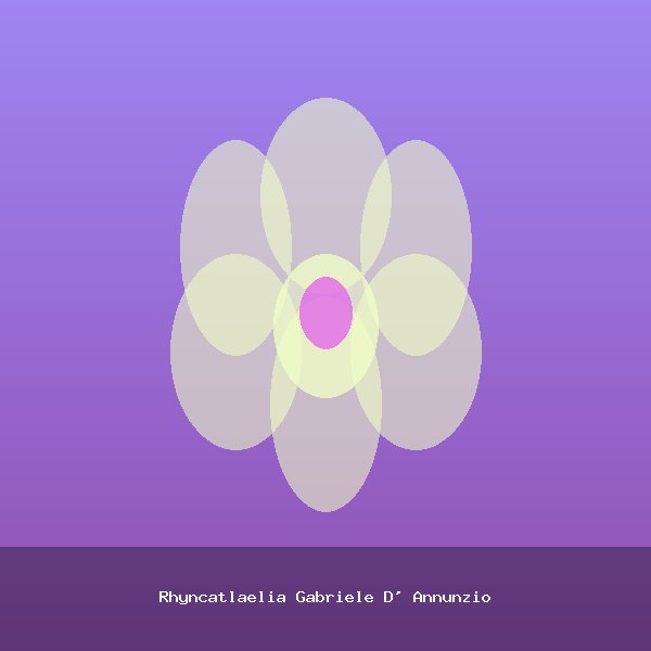 Rhyncatlaelia Gabriele D' Annunzio