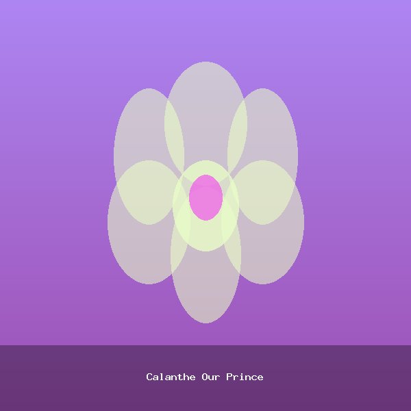 Calanthe Our Prince