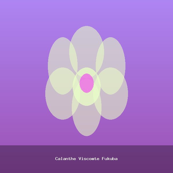 Calanthe Viscomte Fukuba