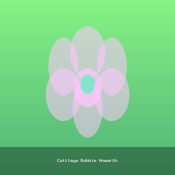 Cattleya Bobbie Howarth