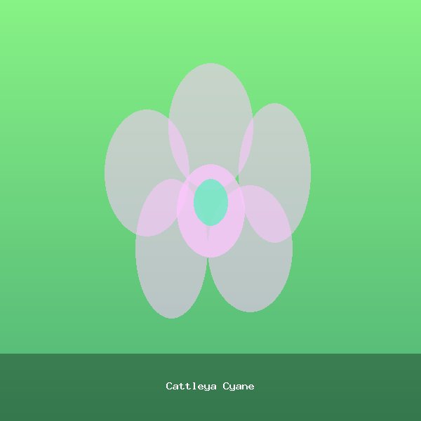 Cattleya Cyane