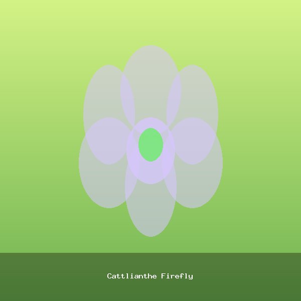Cattlianthe Firefly
