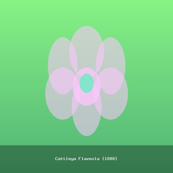 Cattleya Flaveola (1888)