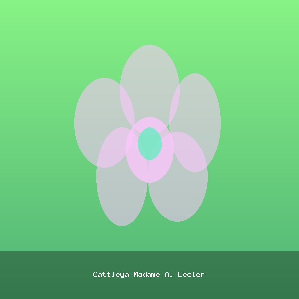 Cattleya Madame A. Lecler