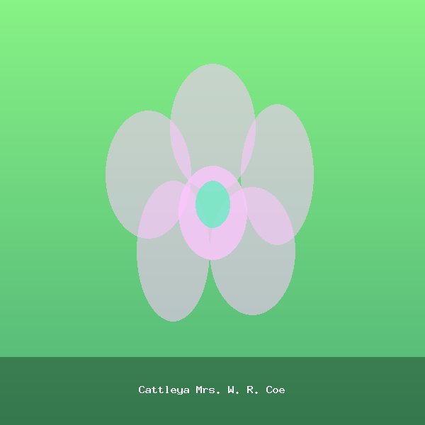Cattleya Mrs. W. R. Coe