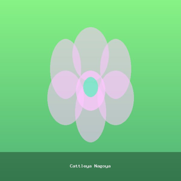 Cattleya Nagoya