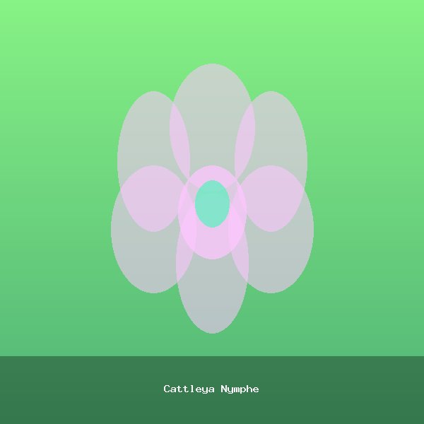 Cattleya Nymphe