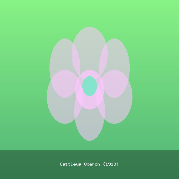 Cattleya Oberon (1913)
