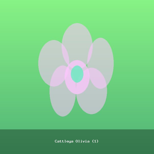 Cattleya Olivia (1)