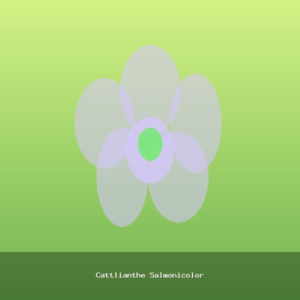 Cattlianthe Salmonicolor