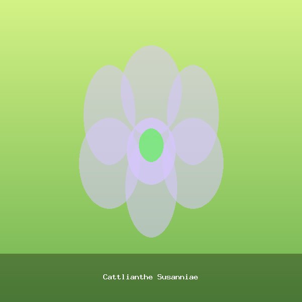 Cattlianthe Susanniae