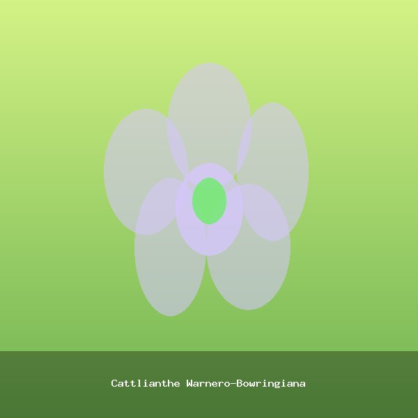 Cattlianthe Warnero-Bowringiana