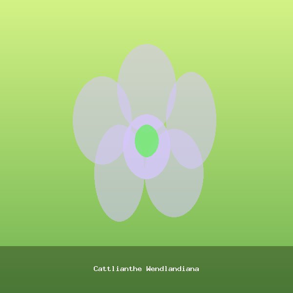 Cattlianthe Wendlandiana