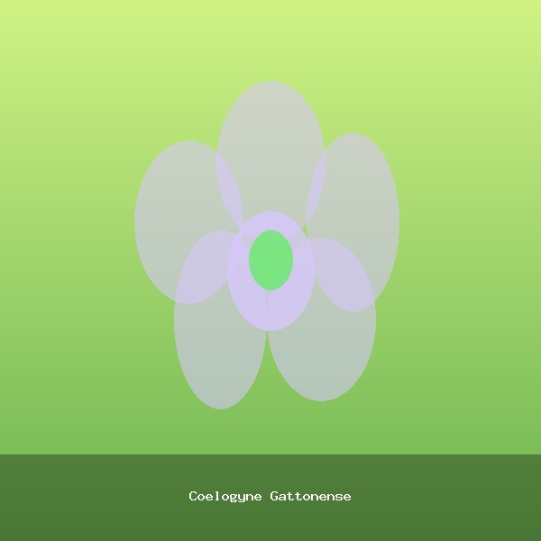 Coelogyne Gattonense