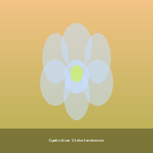 Cymbidium Glebelandsense