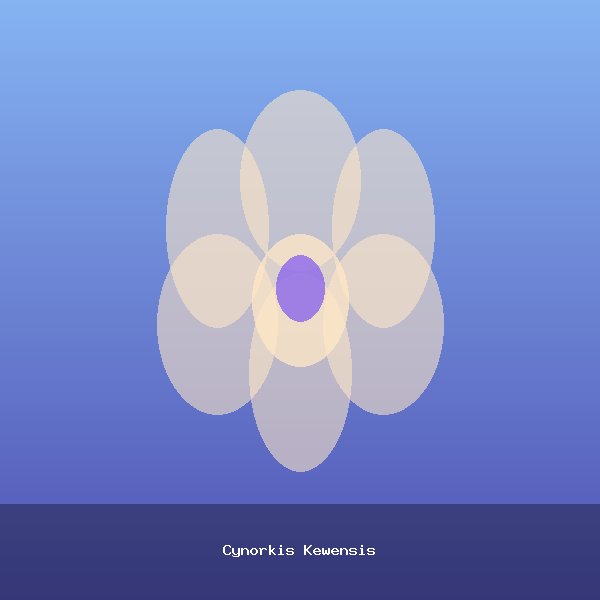 Cynorkis Kewensis