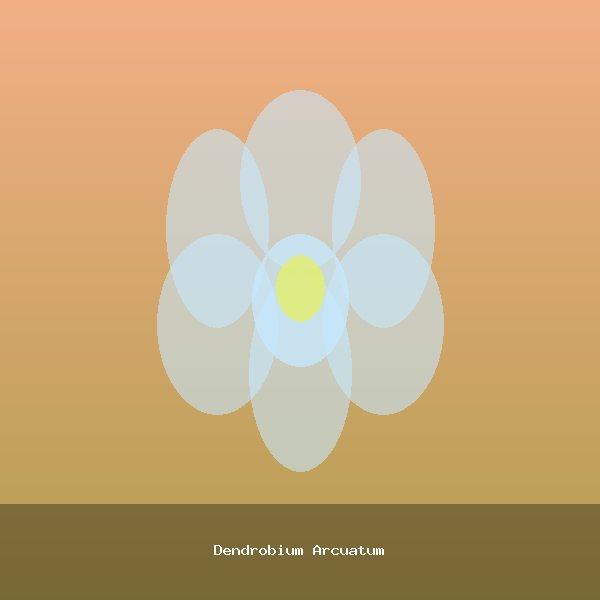 Dendrobium Arcuatum