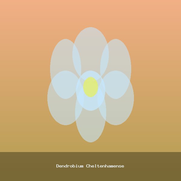 Dendrobium Cheltenhamense