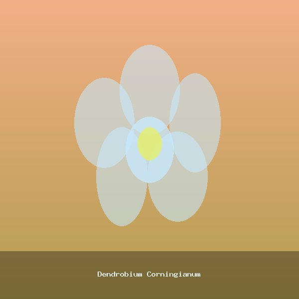 Dendrobium Corningianum