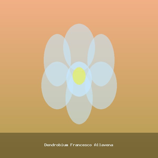 Dendrobium Francesco Allavena