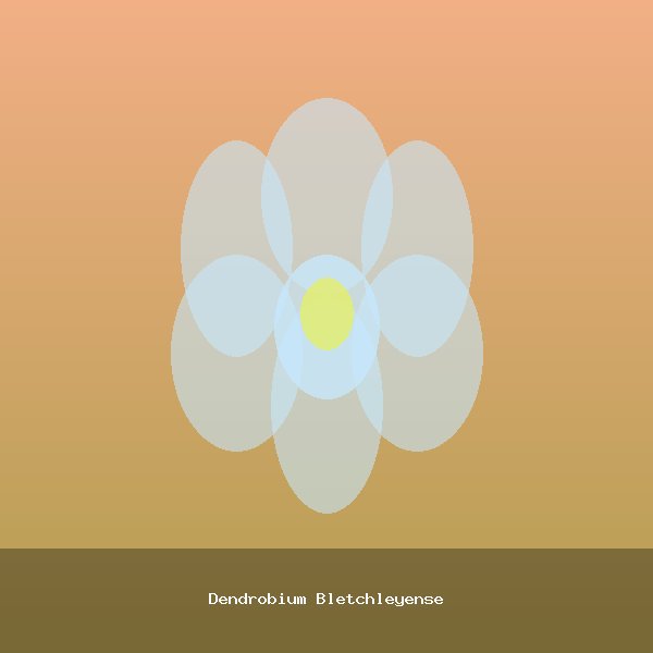 Dendrobium Bletchleyense