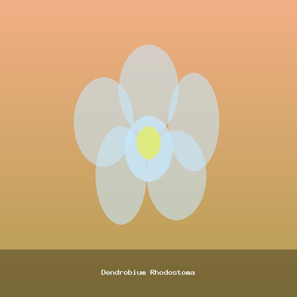 Dendrobium Rhodostoma