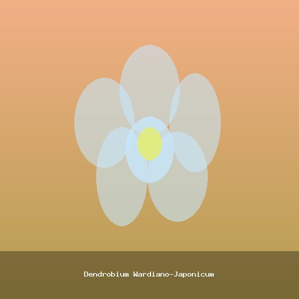 Dendrobium Wardiano-Japonicum
