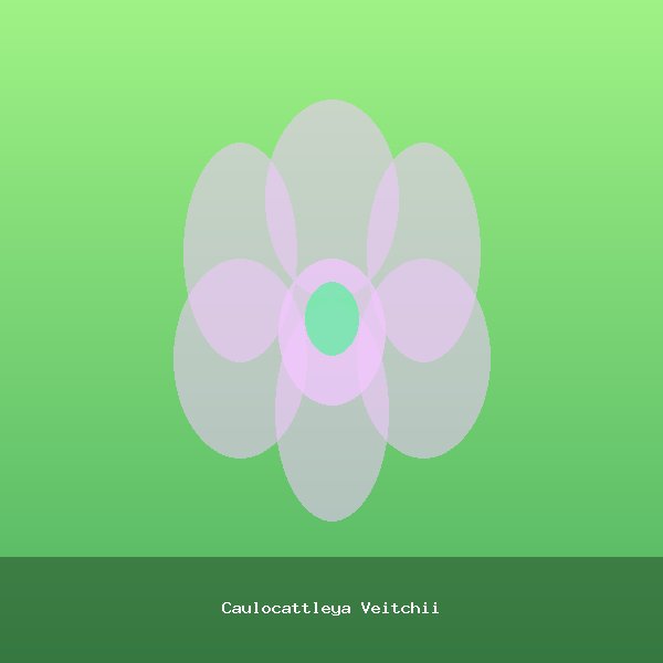 Caulocattleya Veitchii