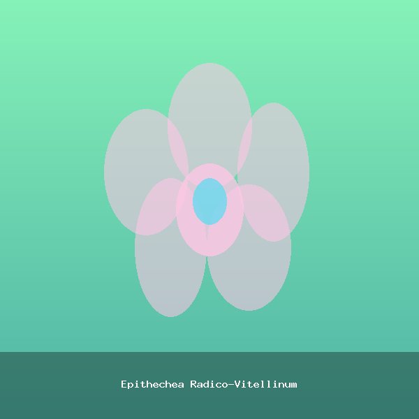 Epithechea Radico-Vitellinum