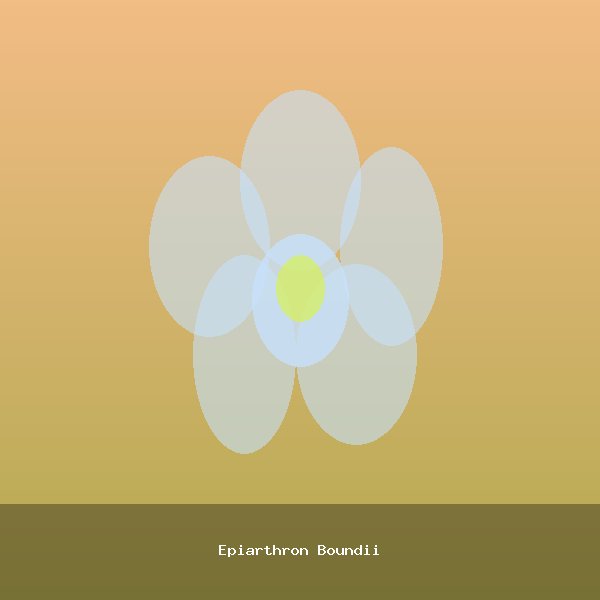 Epiarthron Boundii