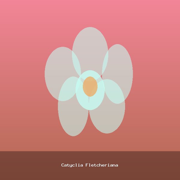 Catyclia Fletcheriana