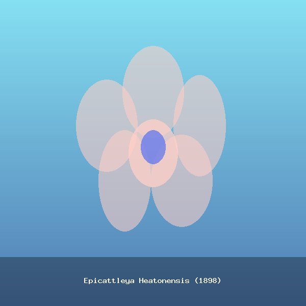 Epicattleya Heatonensis (1898)
