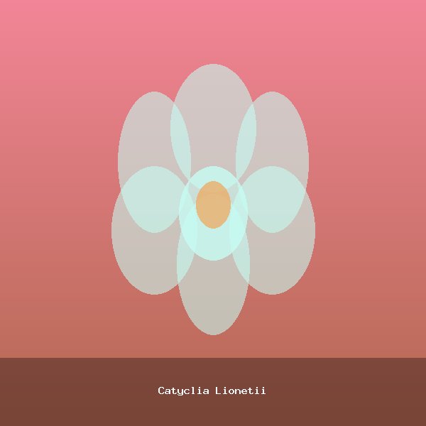 Catyclia Lionetii